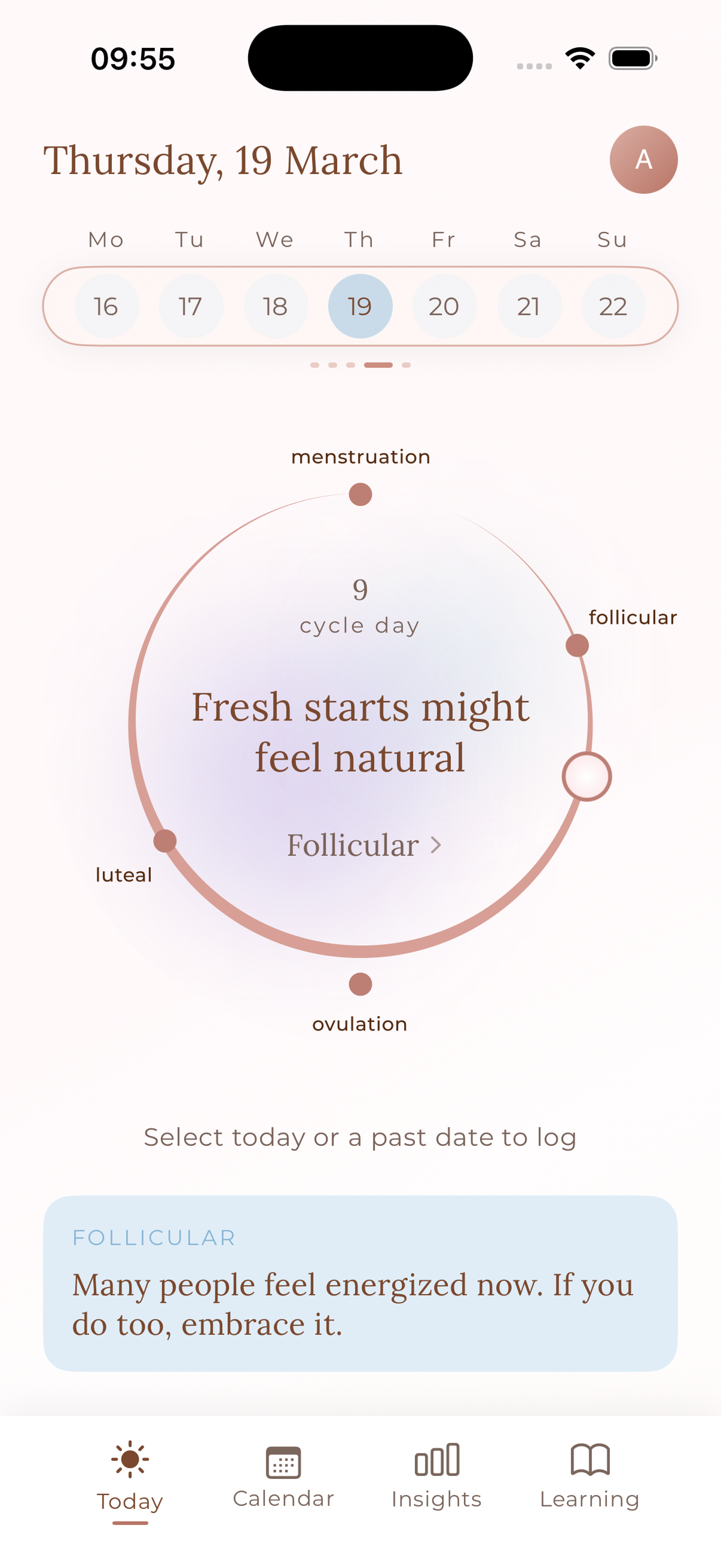 Anima app — daily insights screen